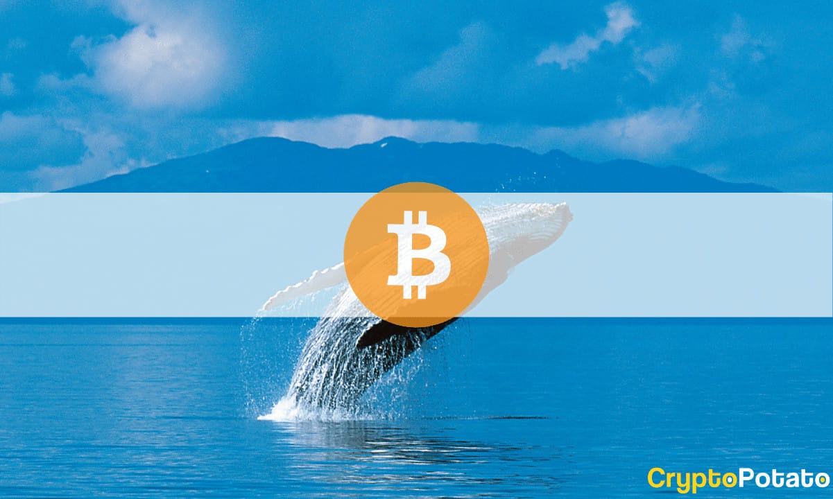 Third-Largest Bitcoin Whale Sold at $56K and Bought Back at $57K a Day Later