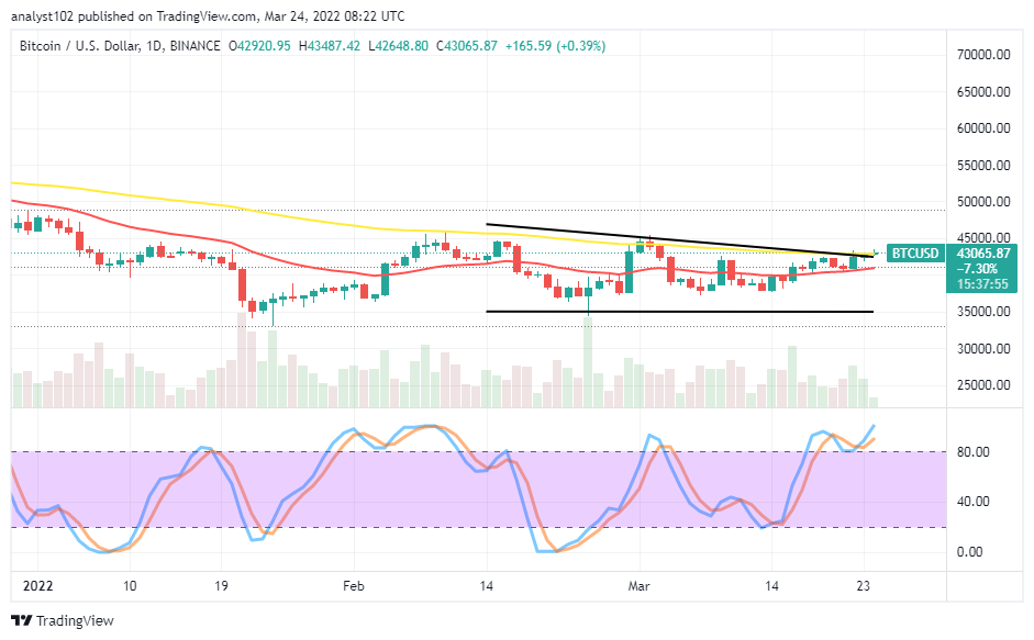 Bitcoin (BTC/USD) Price Holds Around $42,500