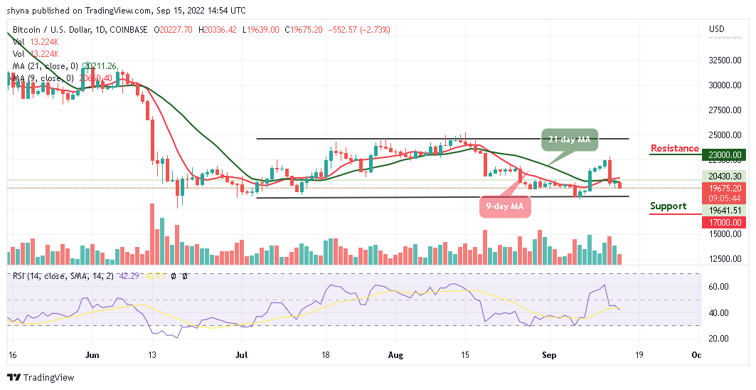 BTC Bears Could Demolish $19,000 Support as Tamadoge Corrects Upward