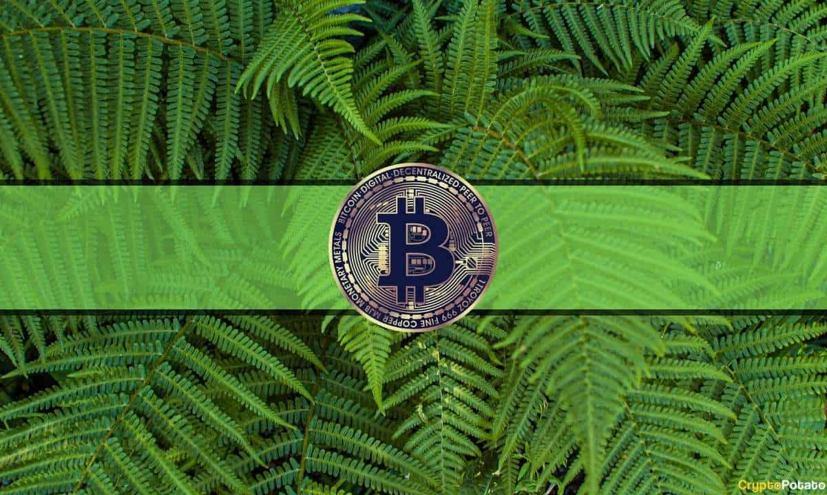 Greed Takes Over the Markets as Bitcoin Maintains $30K
